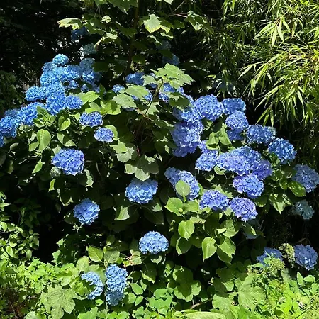 Salle Ancienne Ferme Du Chateau Vakantiehuis *